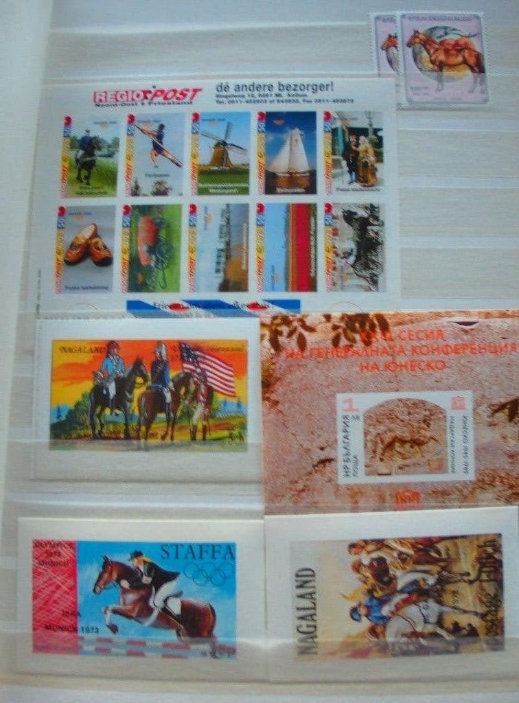 Stockboek paarden, Ophalen of Verzenden, Buitenland