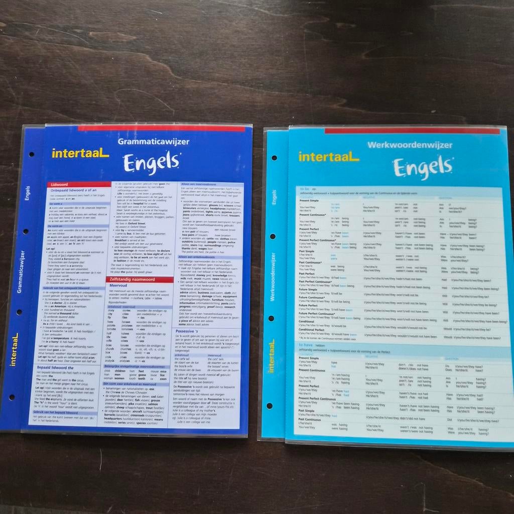 Intertaal Grammaticawijzer & Werkwoordenwijzer Engels, Boeken, Ophalen of Verzenden, Zo goed als nieuw, Intertaal, Non-fictie