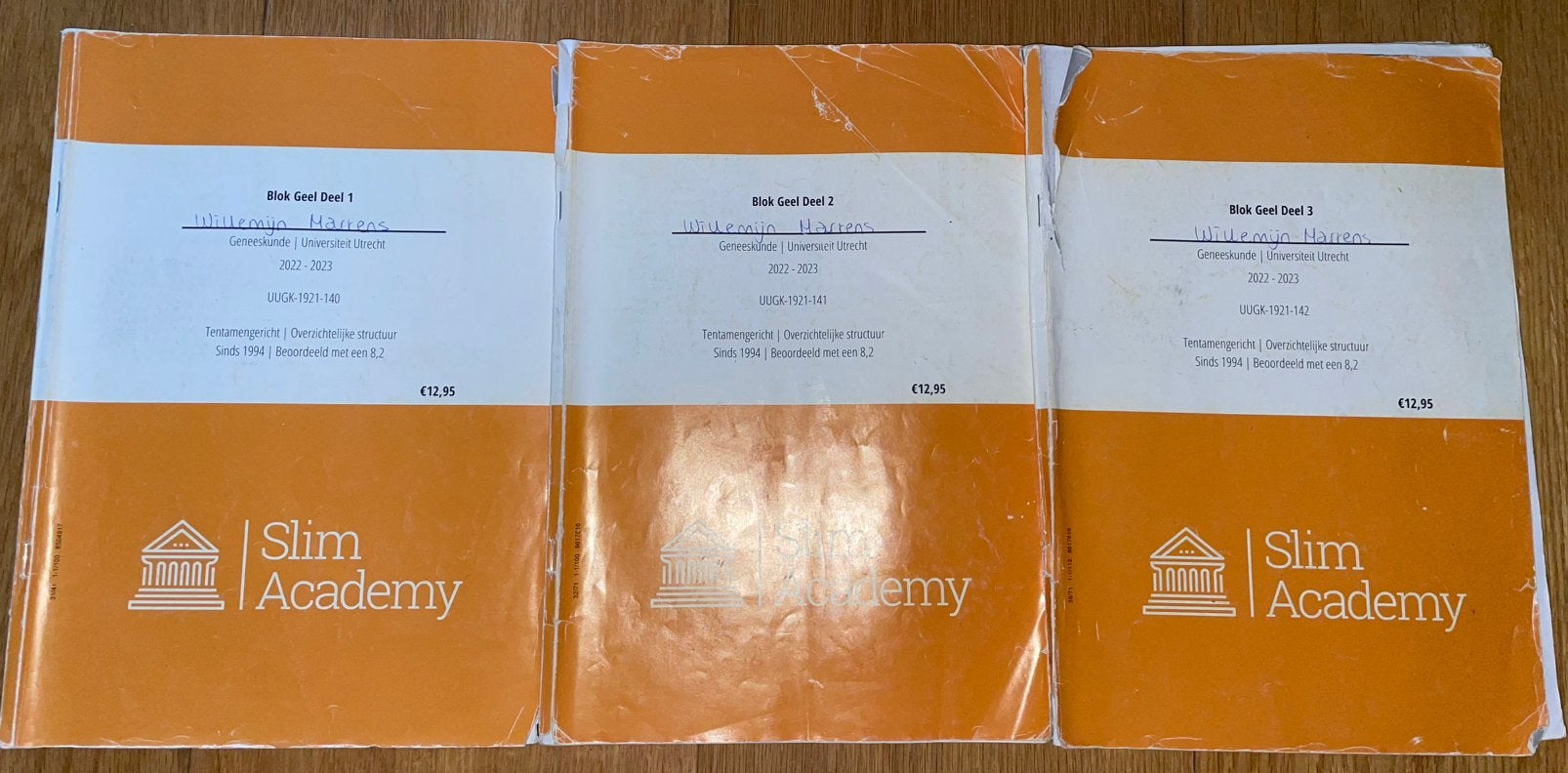 Slim Academy Blok Geel Deel 1, 2 en 3 - Samenvattingen, Boeken, Studieboeken en Cursussen, Ophalen, Alpha, Zo goed als nieuw, HBO