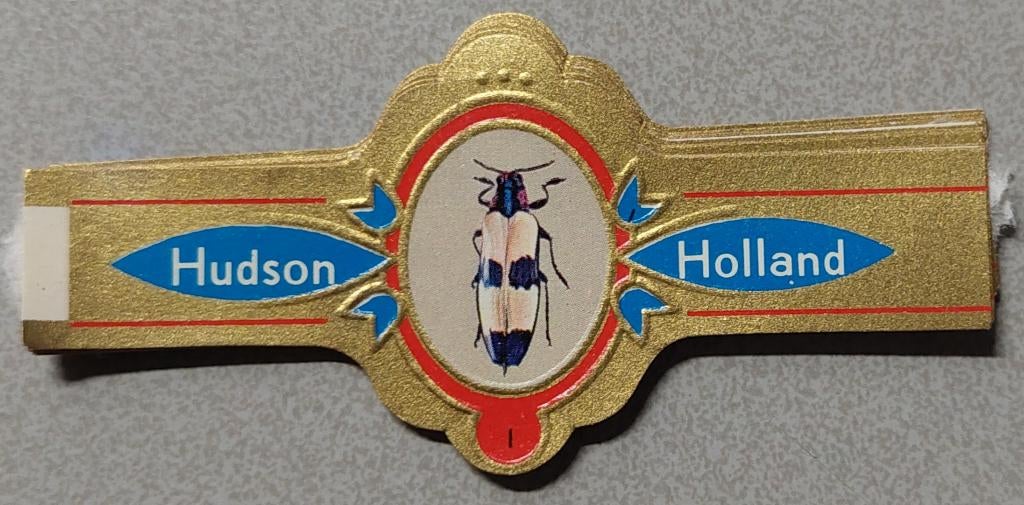 Sigarenbandjes, Ophalen of Verzenden, Gebruikt, Sigarenbandjes