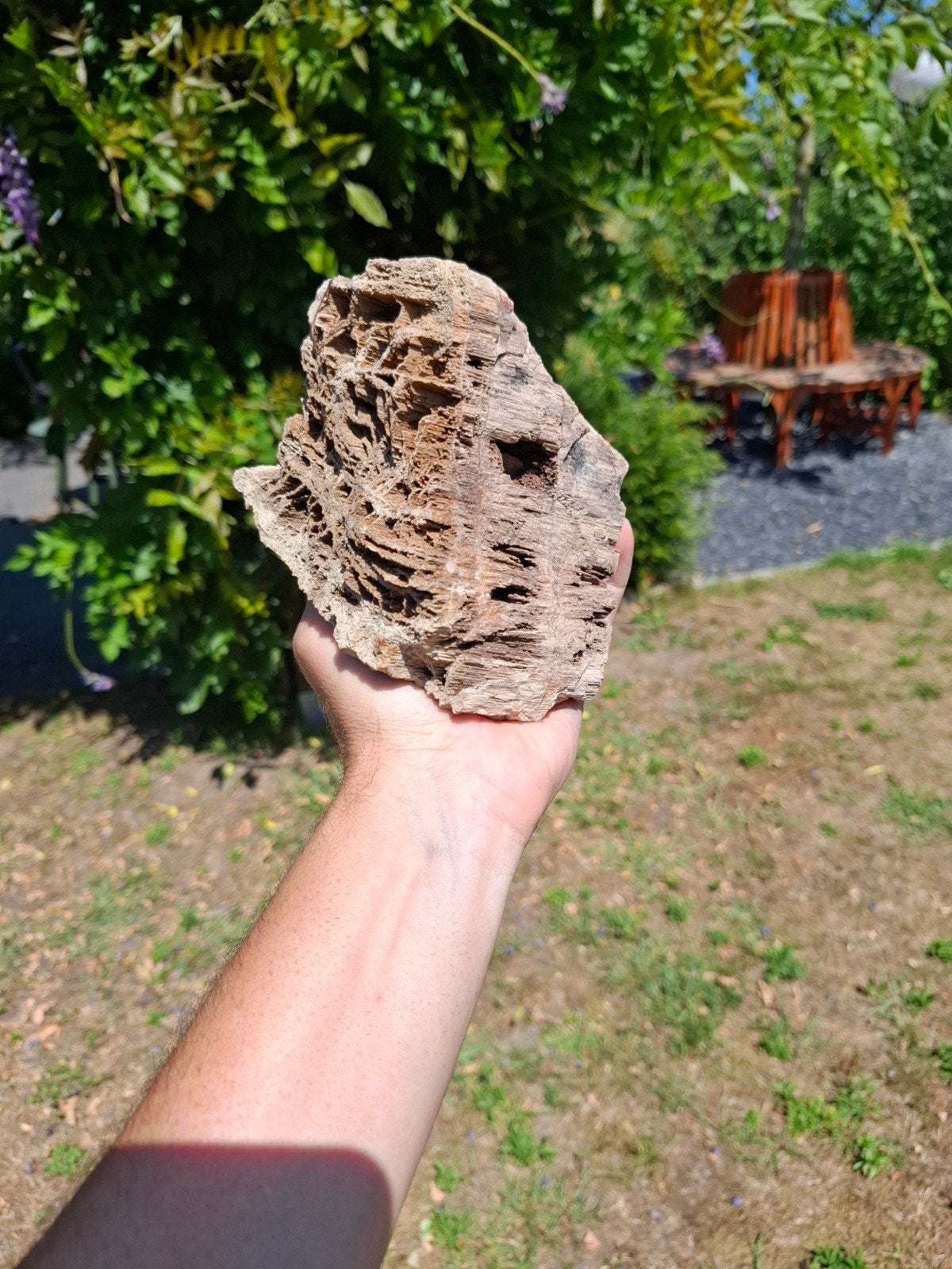 Versteend hout met kwarts, Ophalen of Verzenden, Mineraal