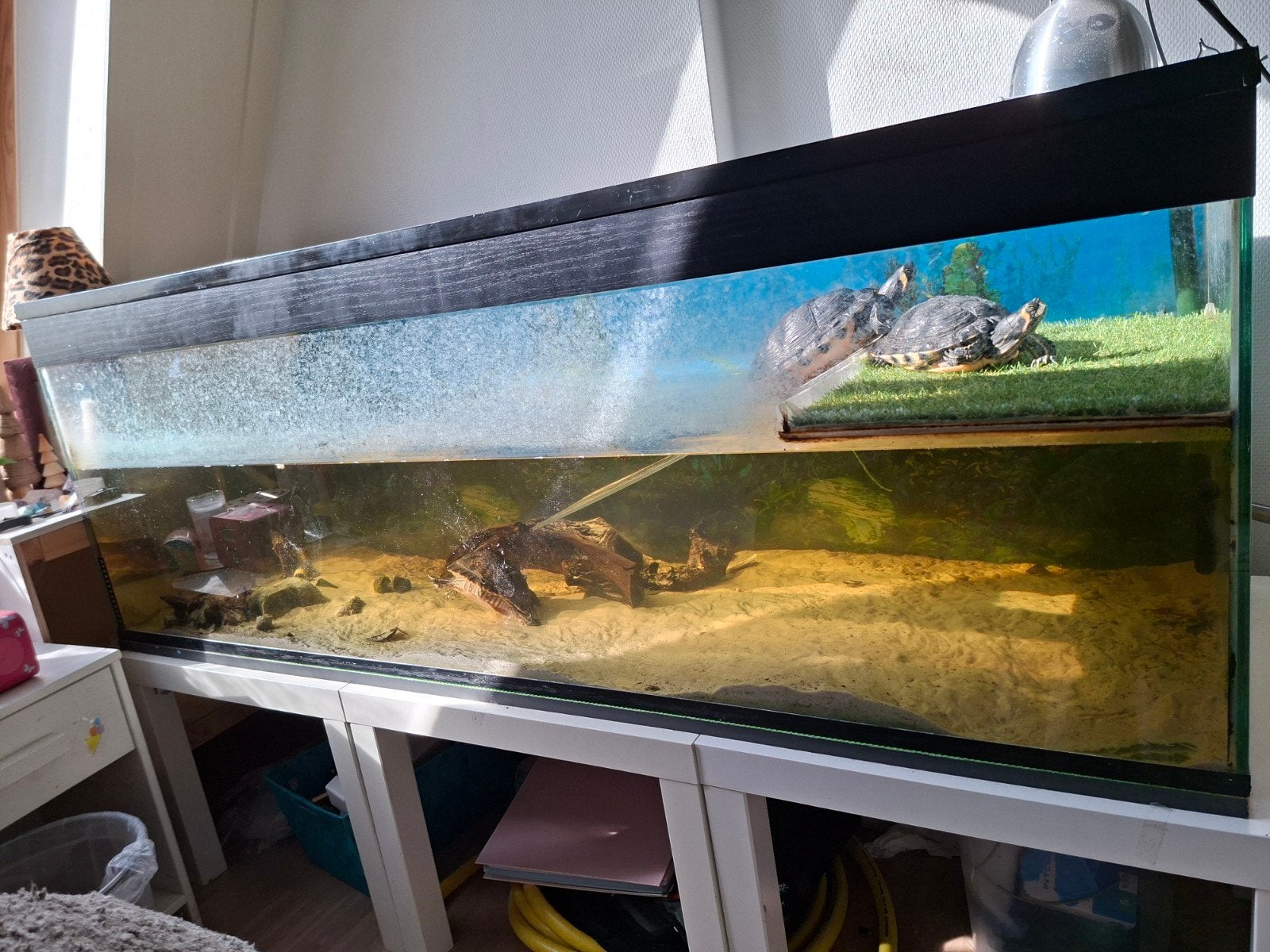 Schildpadden aquarium, Dieren en Toebehoren, Ophalen of Verzenden, Leeg aquarium