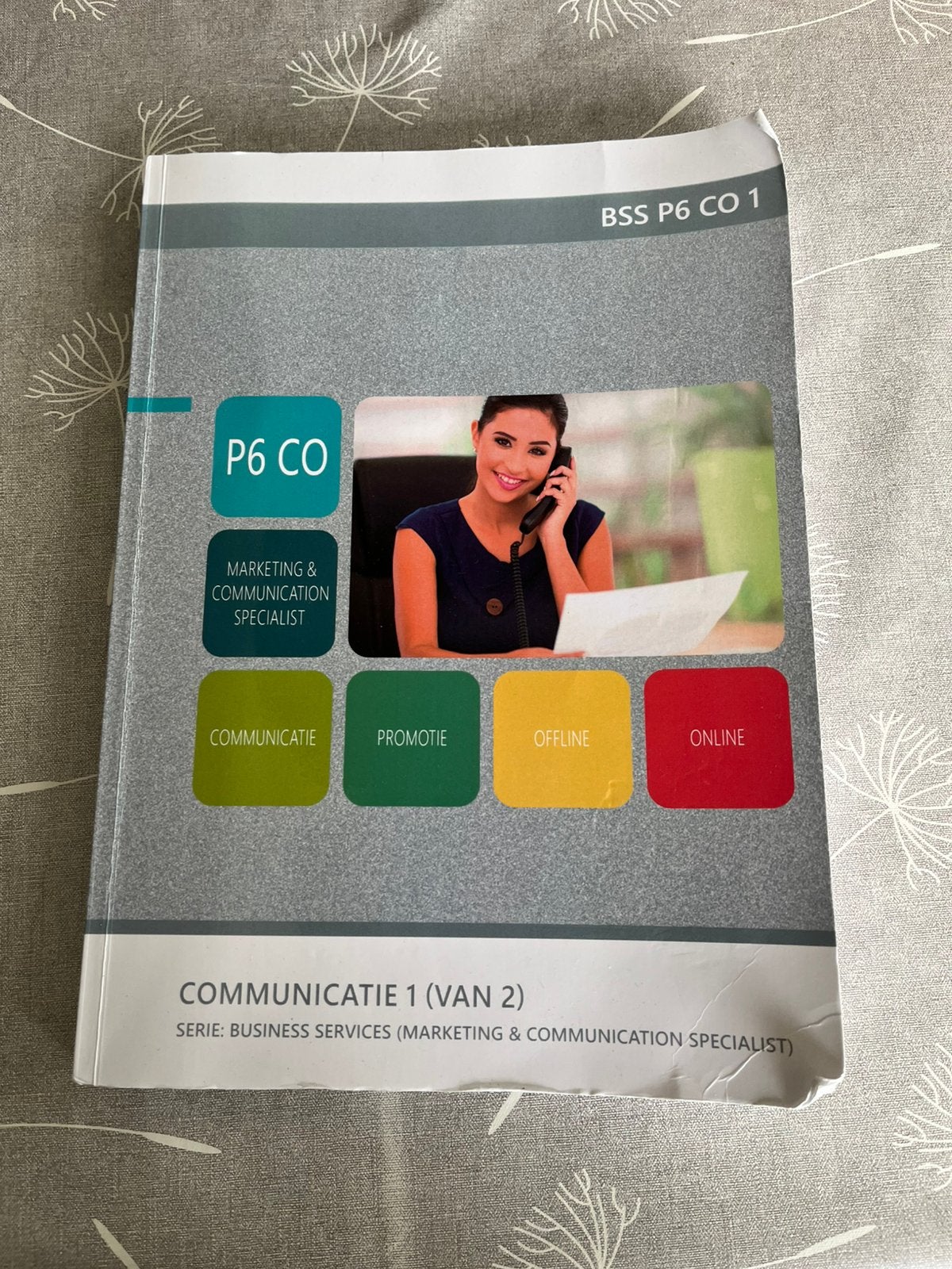 BSS P6 CO 1, Ophalen of Verzenden, Gelezen, Overige niveaus, Nederlands