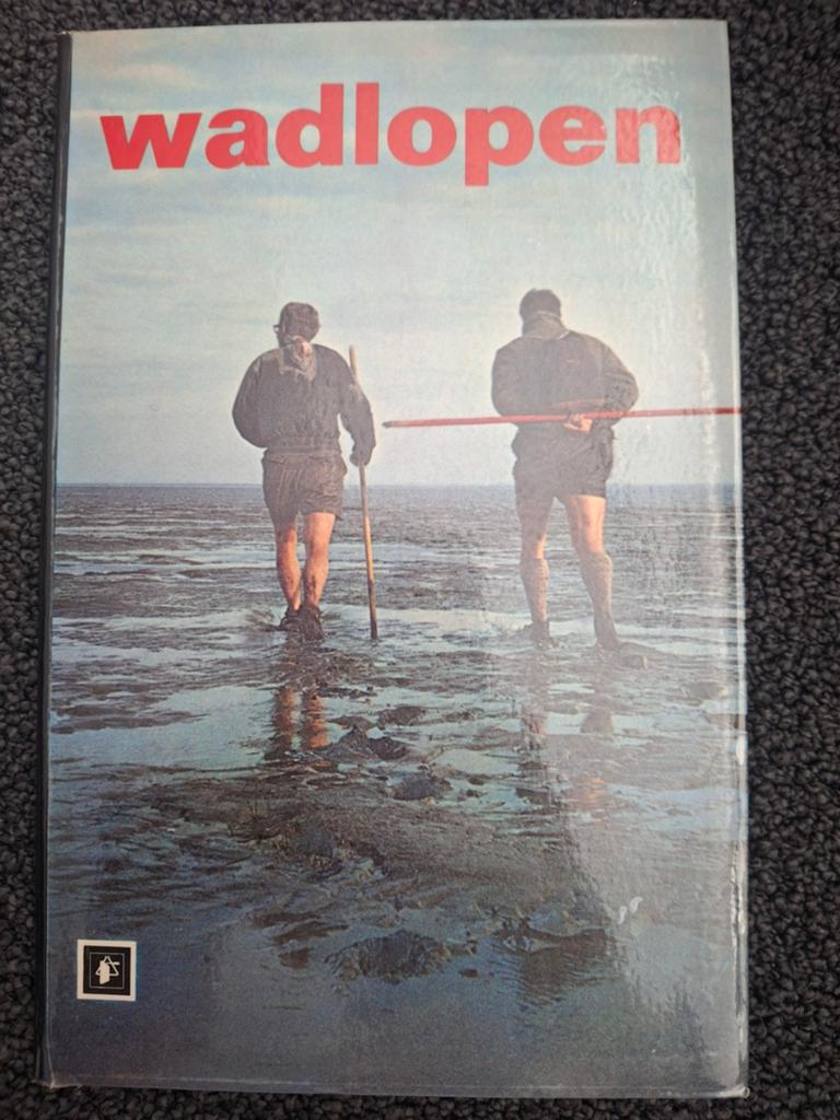 Wadlopen - Boek over de Waddenzee, Ophalen of Verzenden, Reisgids of -boek, Benelux, D.H. Schortinghuis