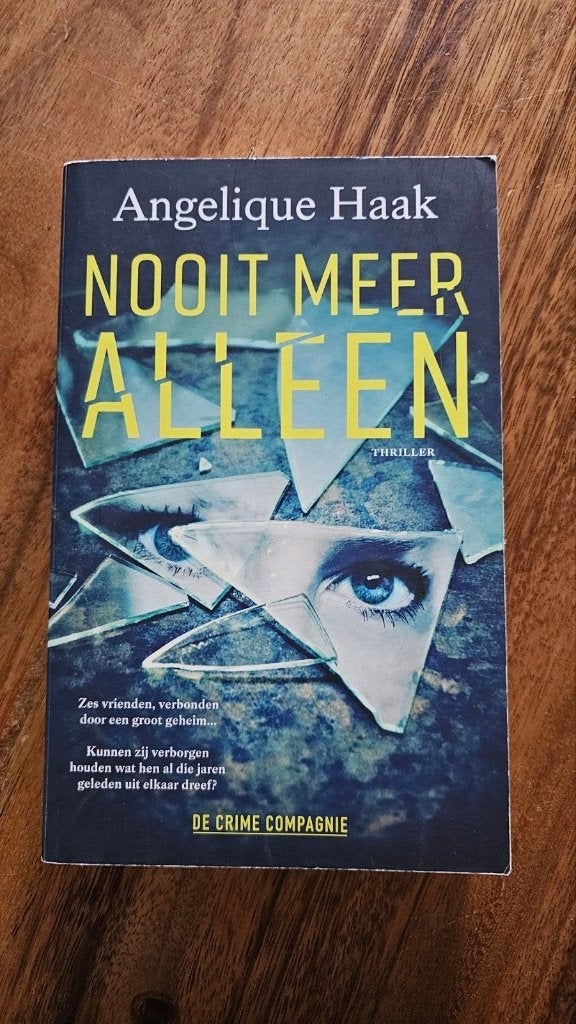 Nooit Meer Alleen - Angelique Haak (Thriller), Ophalen of Verzenden, Zo goed als nieuw, Angelique Haak