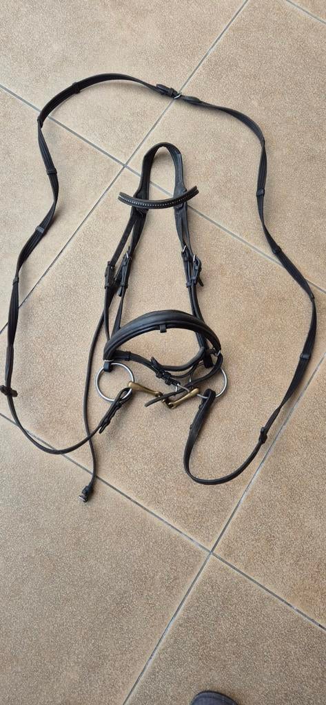 2 x paardenhoofdstel maat Full Passier & Sohn, Ophalen, Gebruikt, Dressuur
