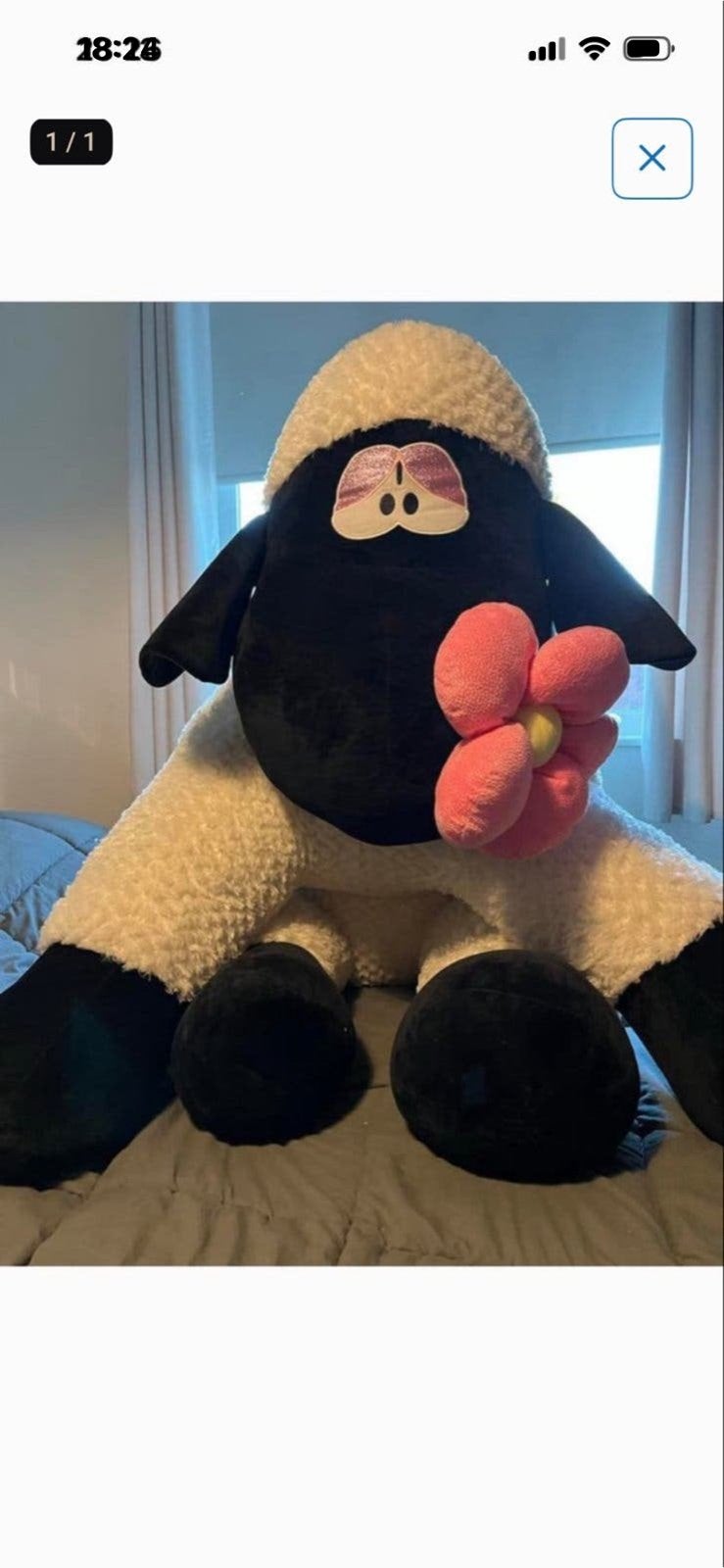 MEGA grote knuffel schaap! Voor wie niks wint op de kermis!, Ophalen, Zo goed als nieuw, Overige typen