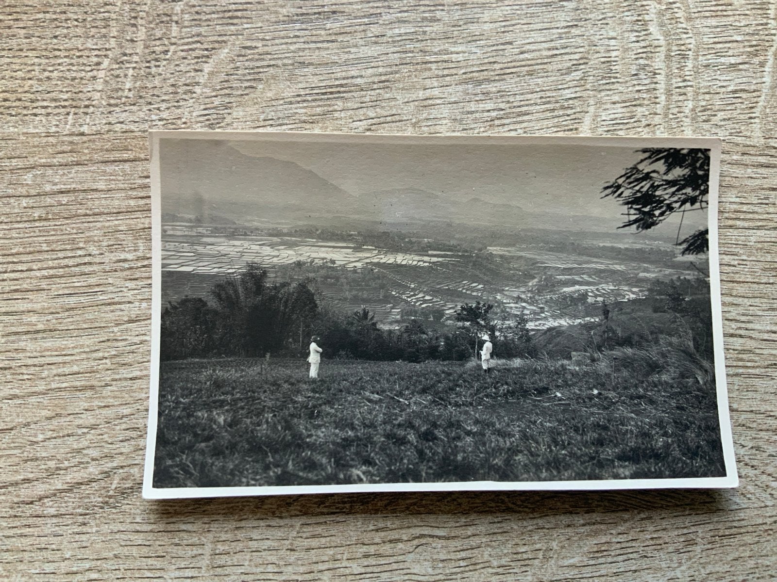 Nederlands-Indië: Vlakte van Garut, Java, Ophalen of Verzenden, Voor 1920, Gelopen, Buiten Europa