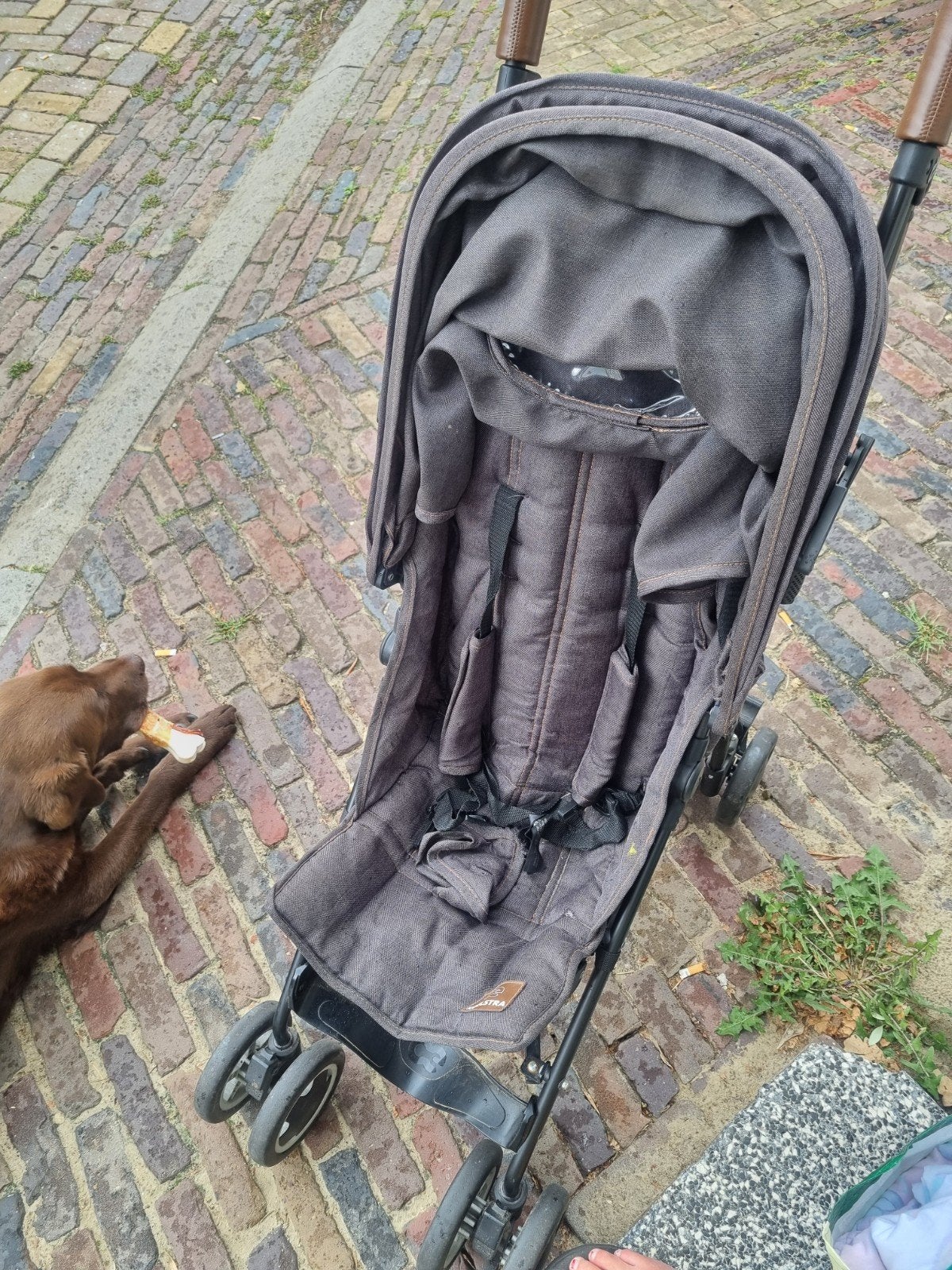 Koelstra Buggy - Comfortabel en Compact, Ophalen of Verzenden, Gebruikt, Overige merken