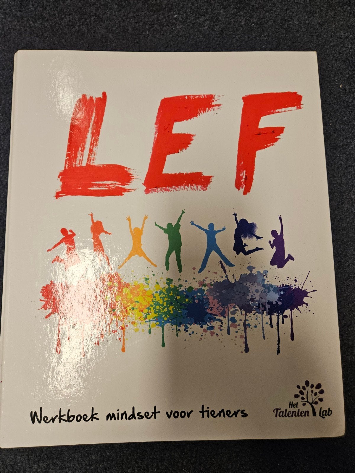 LEF Werkboek mindset voor tieners - Het Talenten Lab, Ophalen of Verzenden