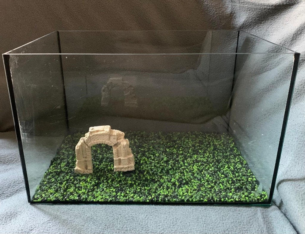 Aquarium 40x25x25 cm – compleet met bodem en ornament, Ophalen, Inclusief toebehoren, Zo goed als nieuw, Leeg aquarium