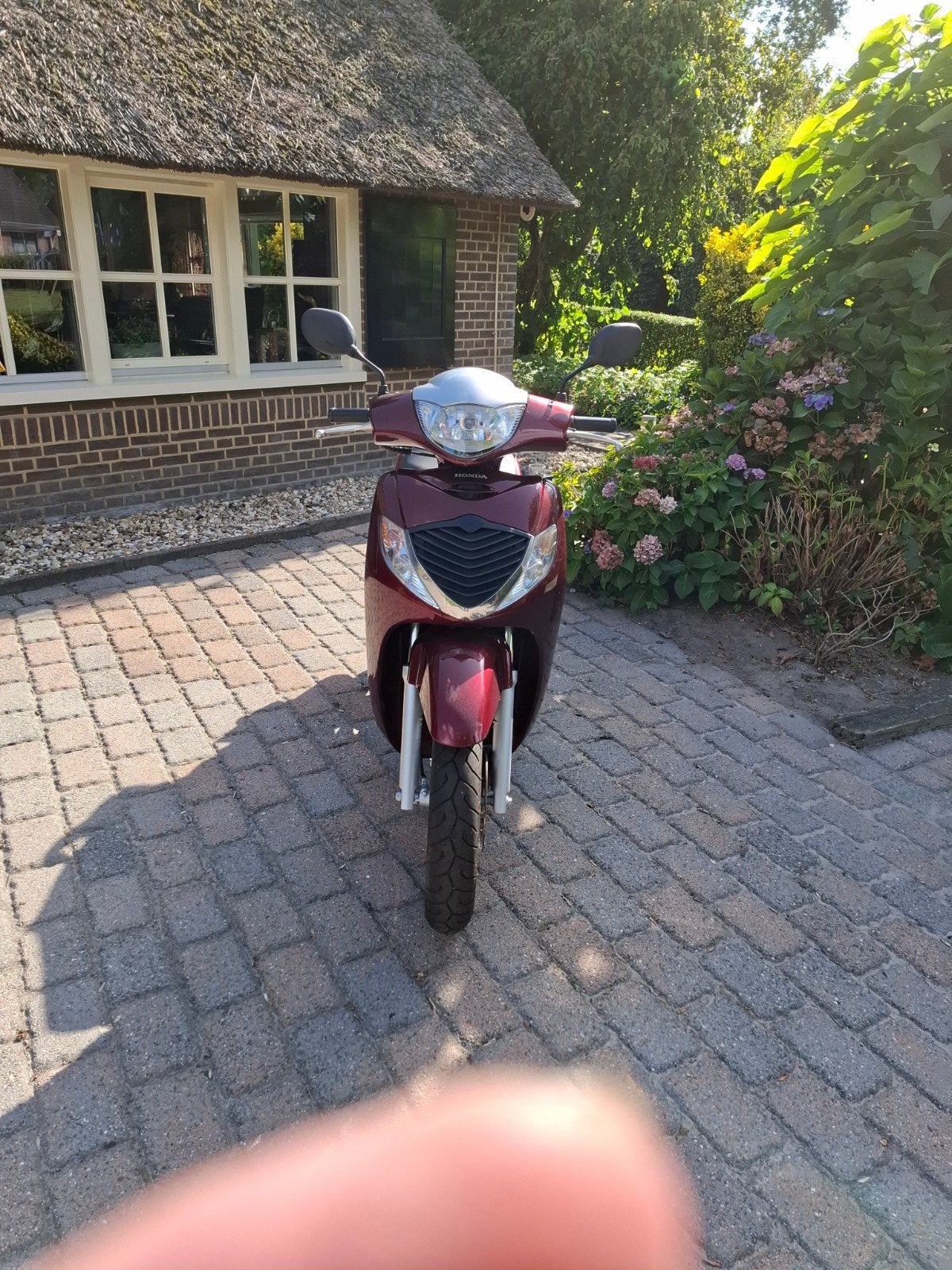 Honda motor scooter, Motoren, Particulier, Scooter