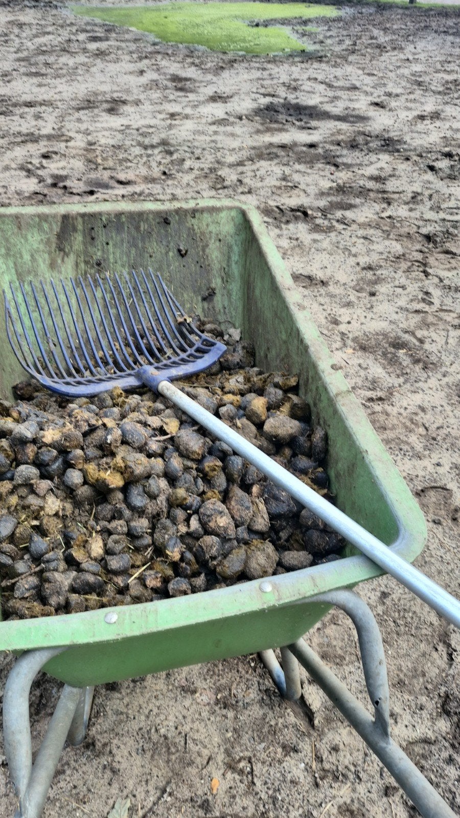 Gratis paardenmest – Zuiver en vers uit Ermelo, Ophalen of Verzenden, Mest