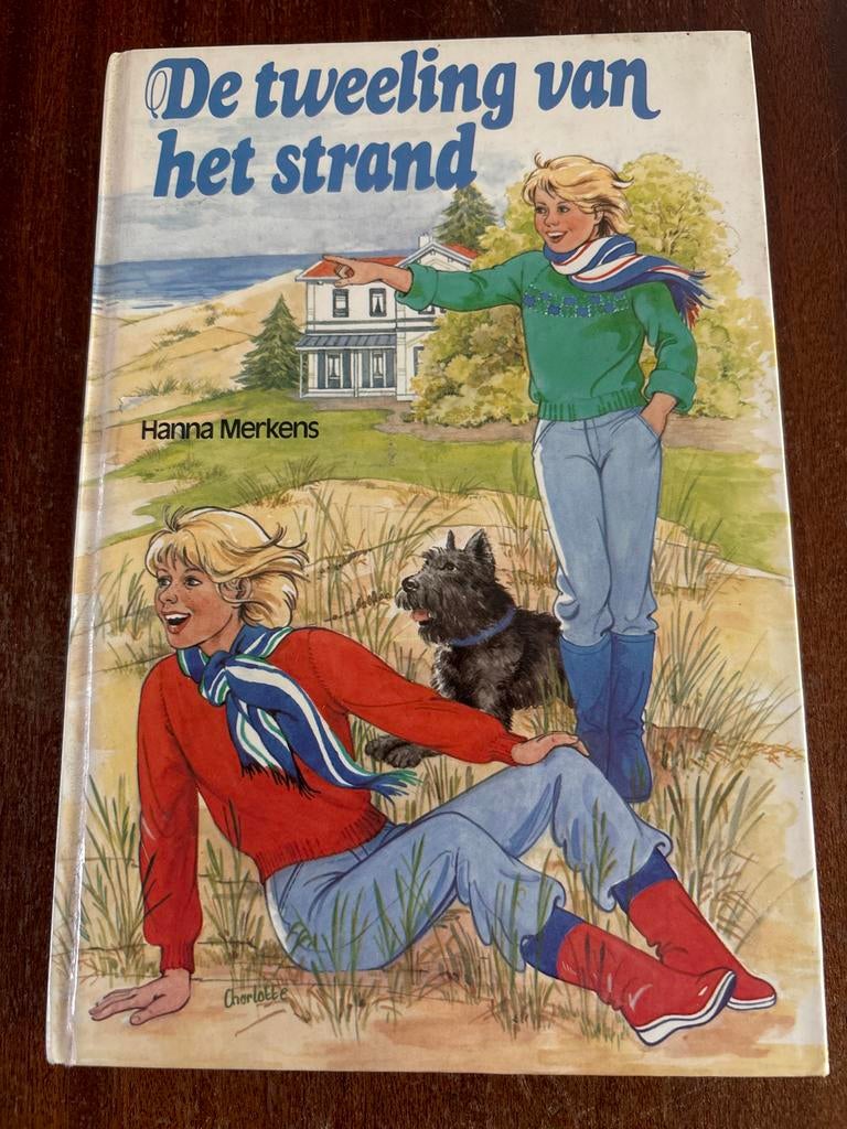 De tweeling van het strand - Hanna Merkens, Ophalen of Verzenden, Gelezen, Fictie algemeen
