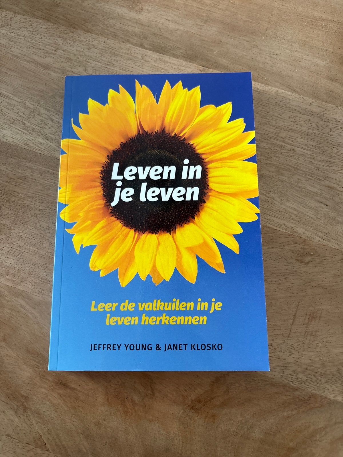 Leren in je leven - Jeffrey Young & Janet Klosko, Boeken, Verzenden, Zo goed als nieuw, Klinische psychologie