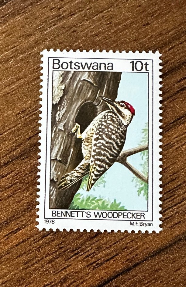 Botswana 1978 Vogels Specht Postfris, Ophalen of Verzenden, Overige landen, Postfris