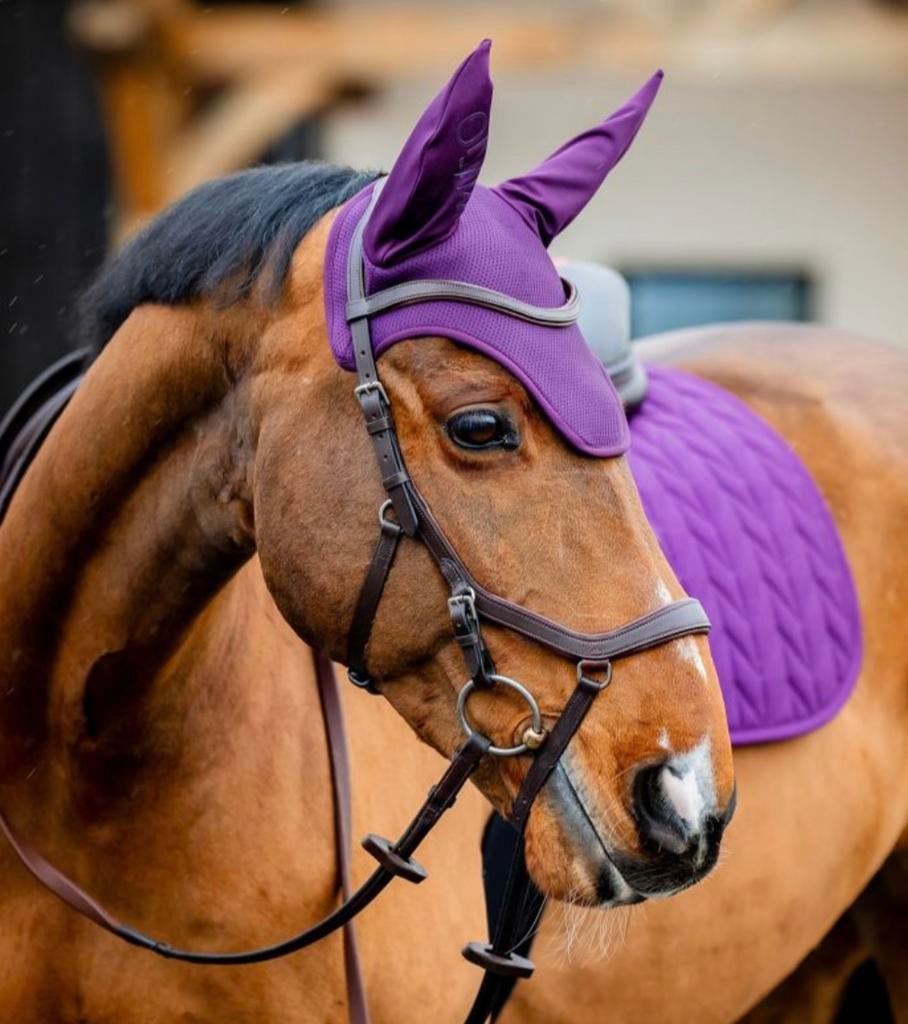 Spring set Horseware Amigo, Dieren en Toebehoren, Paarden en Pony's | Dekens en Dekjes, Cob (M), Nieuw, Ophalen of Verzenden, Paars