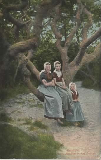 Zeeland 7 klederdrachten meisjes in het bos Walcheren, Verzenden, Voor 1920, Ongelopen, Zeeland