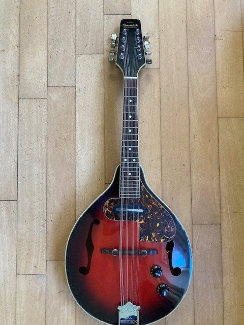 elektro-akoestisch mandoline, Muziek en Instrumenten, Ophalen, Nieuw