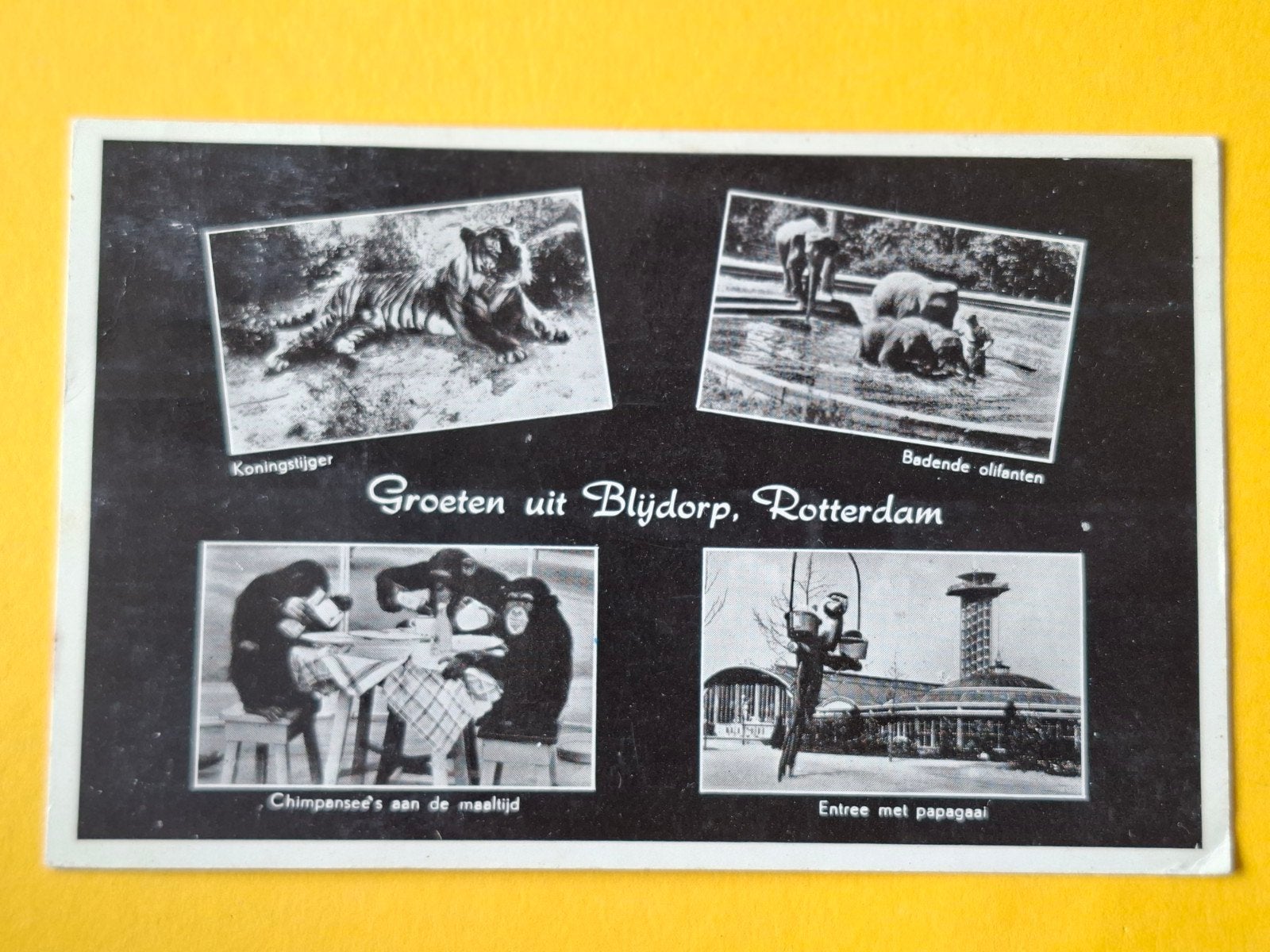 Diergaarde Blijdorp, Ophalen of Verzenden, Voor 1920, Zuid-Holland
