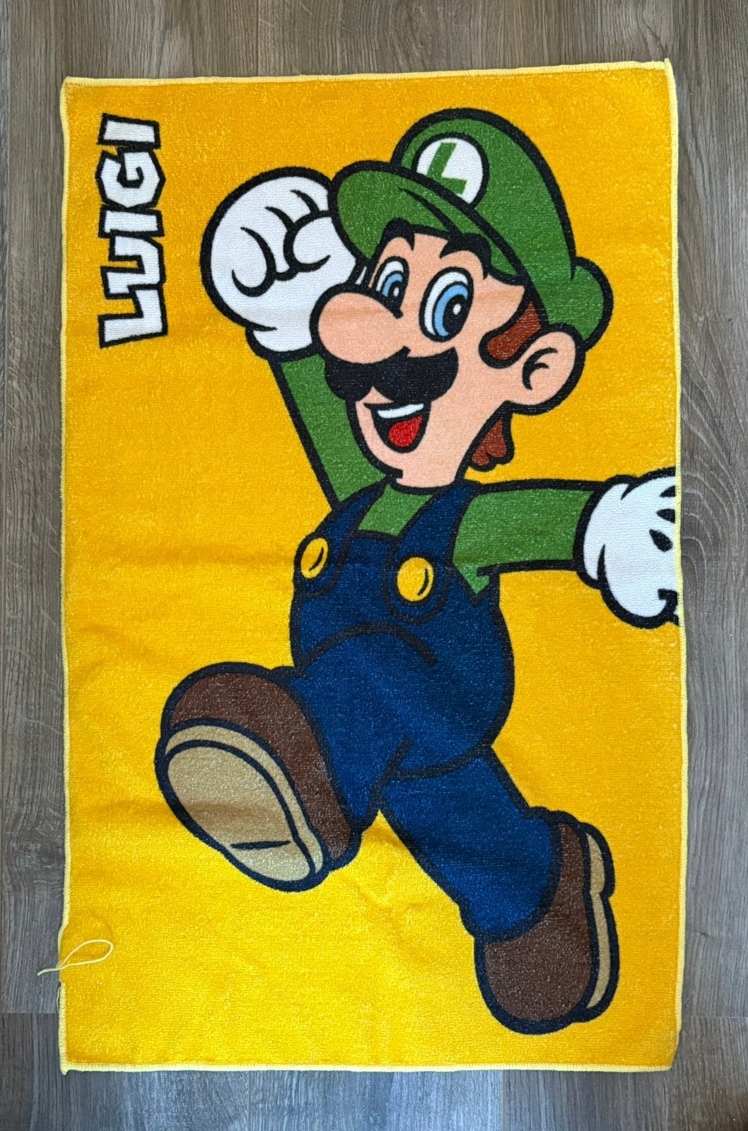 Nintendo Luigi Handoek, Spelcomputers en Games, Games | Nintendo Switch, Ophalen of Verzenden