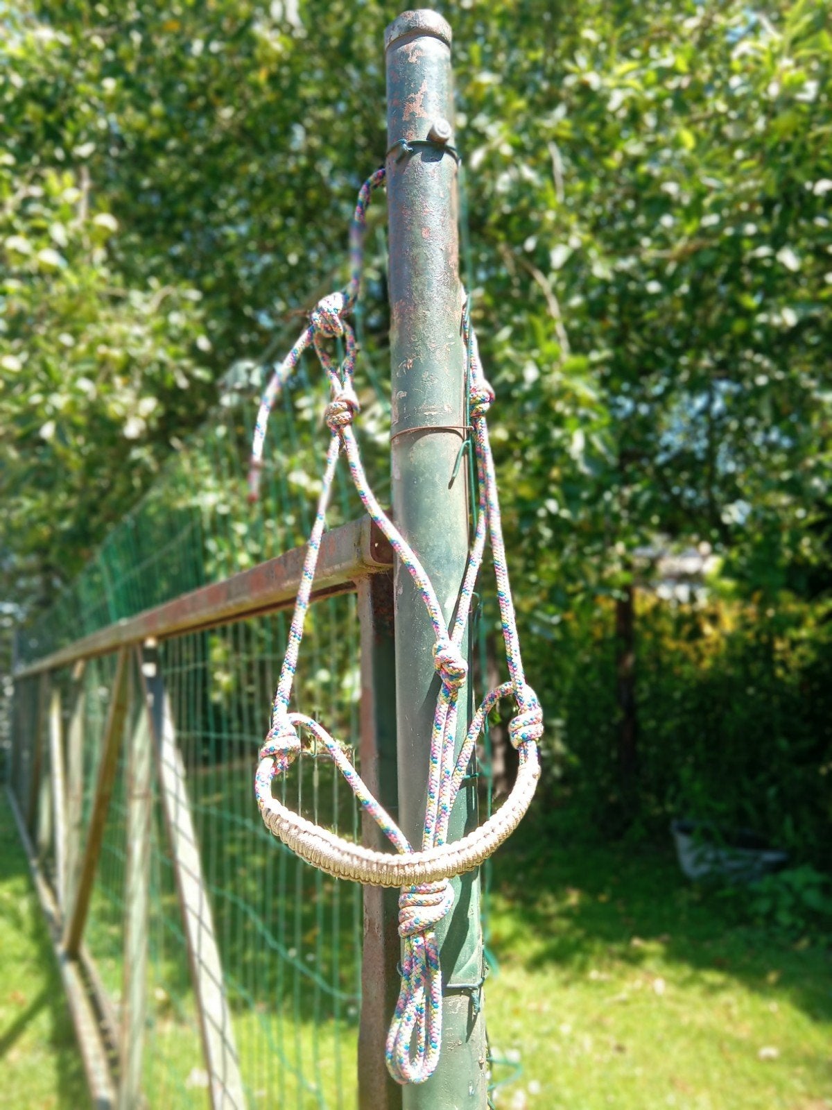 Shetlander touwhalster, Shetlander, Recreatie, Meerkleurig, Ophalen of Verzenden