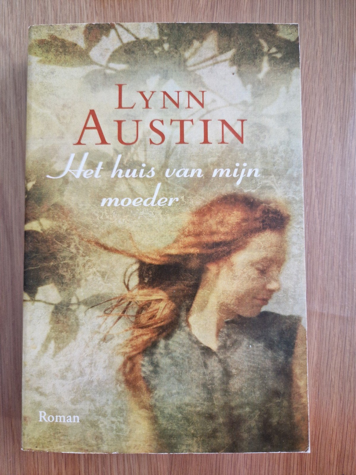 Het huis van mijn moeder - Lynn Austin Roman, Ophalen of Verzenden, Gelezen, Lynn Austin, Nederland