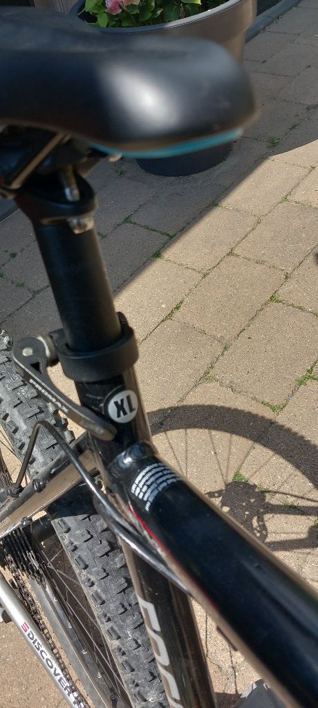 Focus mountainbike xl, Gebruikt, Heren, 53 tot 57 cm, Ophalen