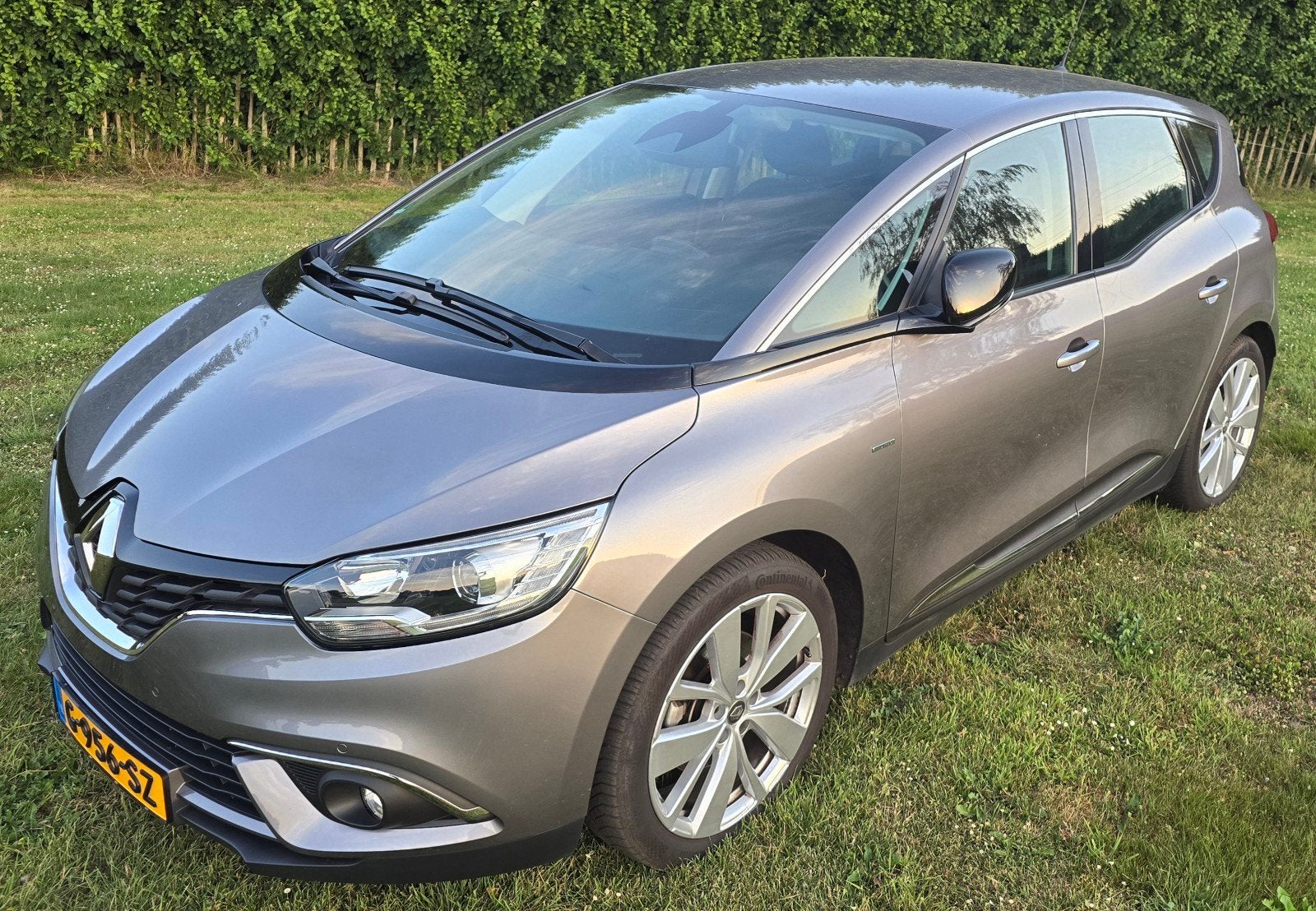 Renault Scénic 1.3 TCe automaat 140pk EDC GPF 2019 limited, 1800 kg, Euro 6, 75 €/maand, Particulier