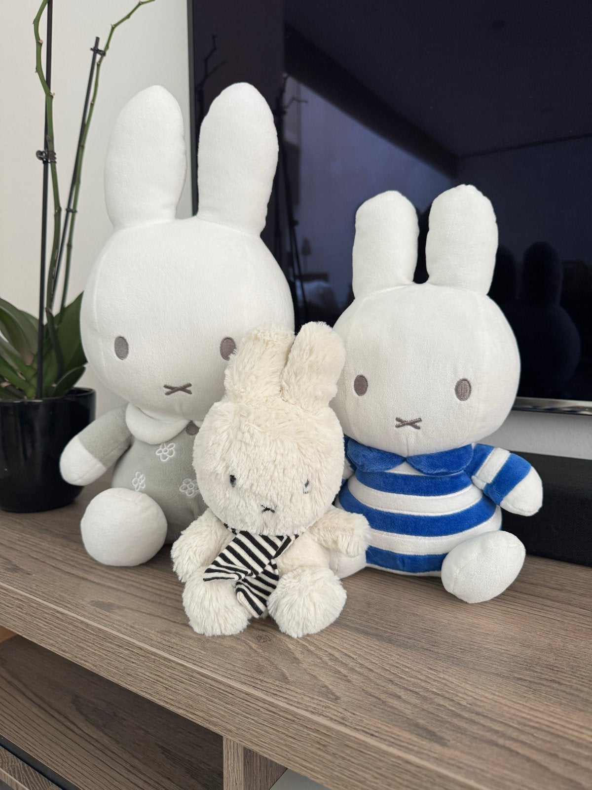 Nijntje knuffels - set van 3, diverse maten en kleding, Kinderen en Baby's, Overige merken, Konijn, Nijntje, Ophalen of Verzenden