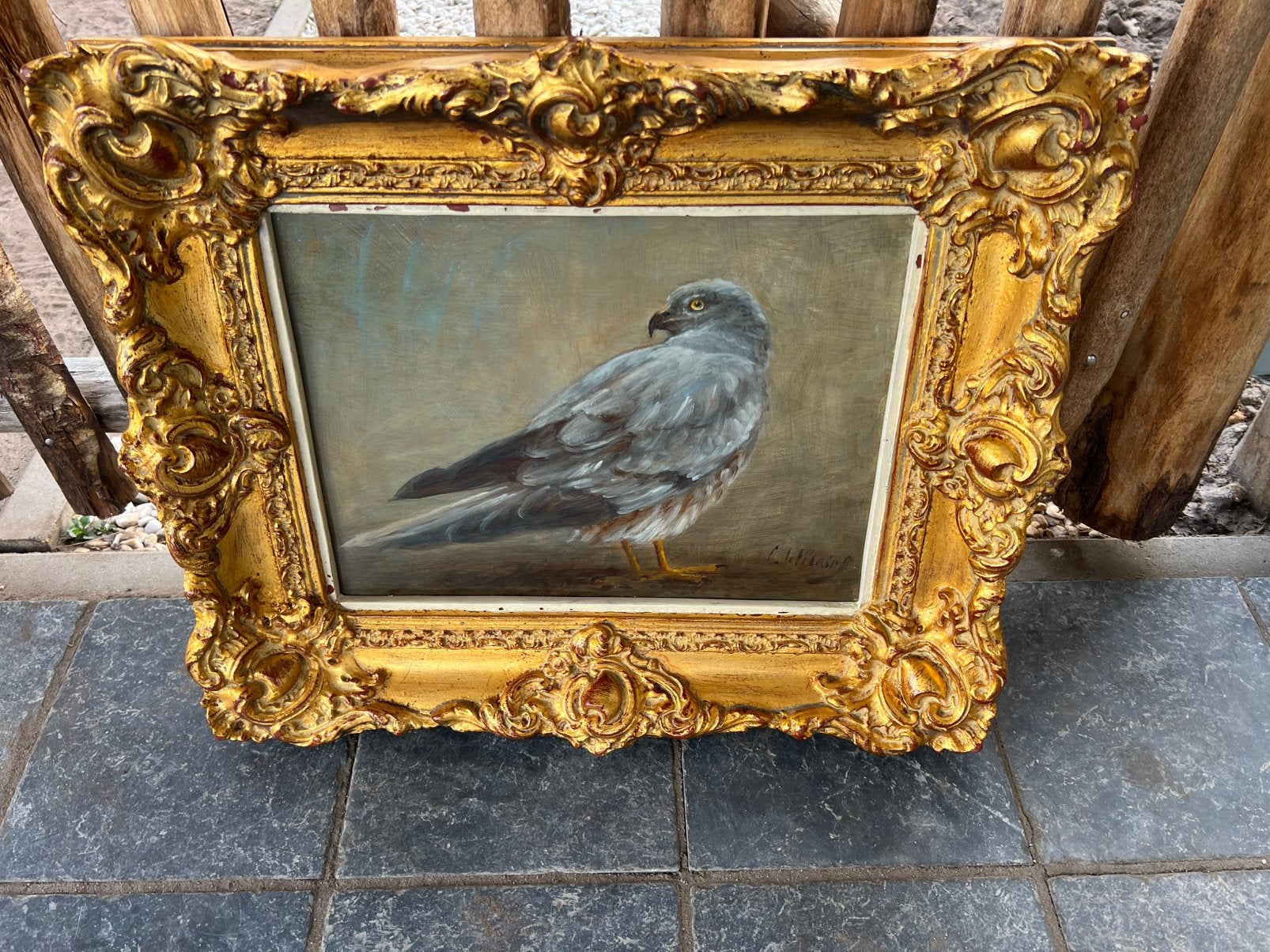 Olieverf . Vogels . Cornelis le Mair Eindhoven ., Ophalen, Paneel, Oud hollands, Dieren