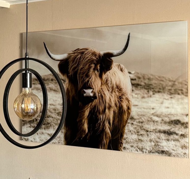Wanddecoratie glasschilderij Schotse hooglander, Huis en Inrichting, Ophalen, Zo goed als nieuw