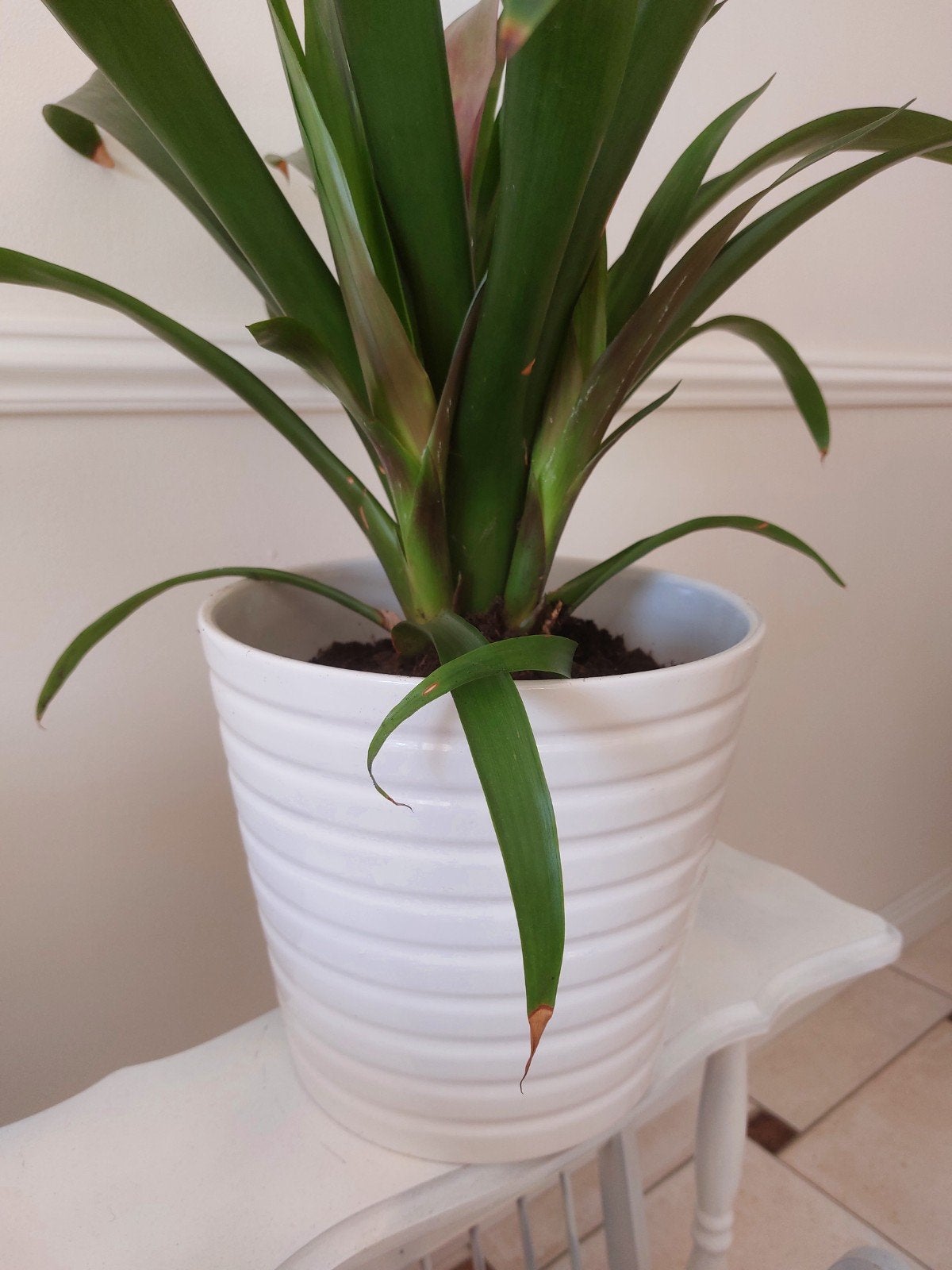 Kardemumma Design witte plantenpot, Tuin en Terras, Bloempotten, Rond, Binnen, Ophalen of Verzenden, Zo goed als nieuw