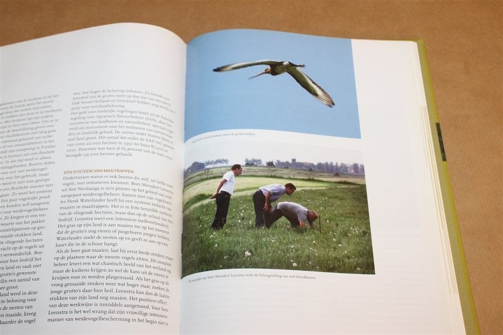 Grondrecht voor de Grutto — Friese Weidevogels in Beeld, Ophalen of Verzenden, Gelezen, Katten