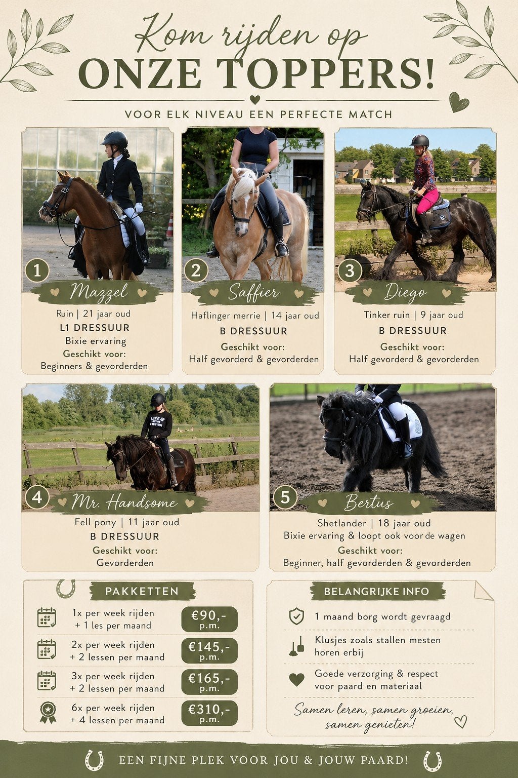 Verzorgpony's, Ophalen of Verzenden, Gebruikt
