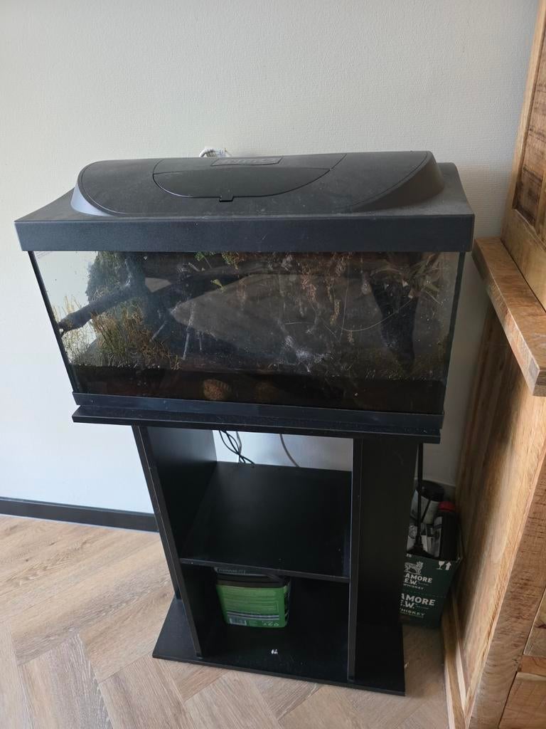 Juwel 60 liter aquarium met onderkast, Dieren en Toebehoren, Reptielen en Amfibieën | Toebehoren, Ophalen of Verzenden