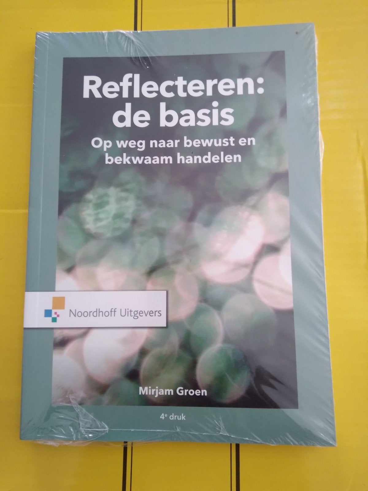 HBO Integrale Veiligheidskunde Reflecteren de basis NIEUW, Boeken, Studieboeken en Cursussen, Nieuw, Mirjam Groen, Gamma, HBO
