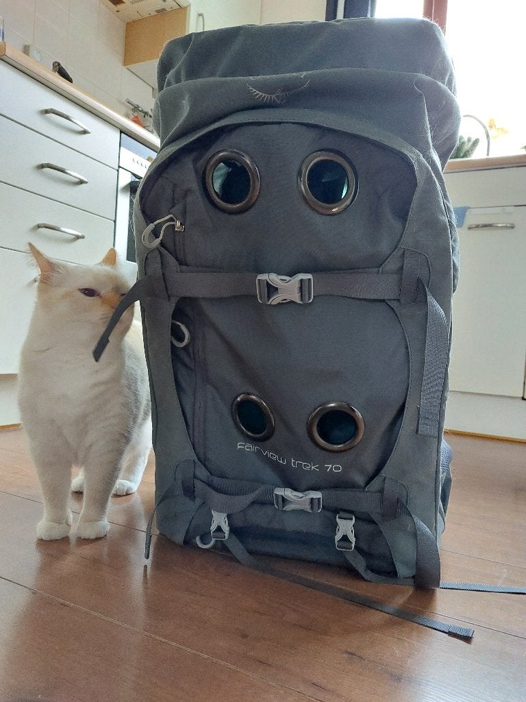 Backpack osprey fairview trek 70, 30 cm of meer, Ophalen of Verzenden, Zo goed als nieuw, 55 tot 75 cm