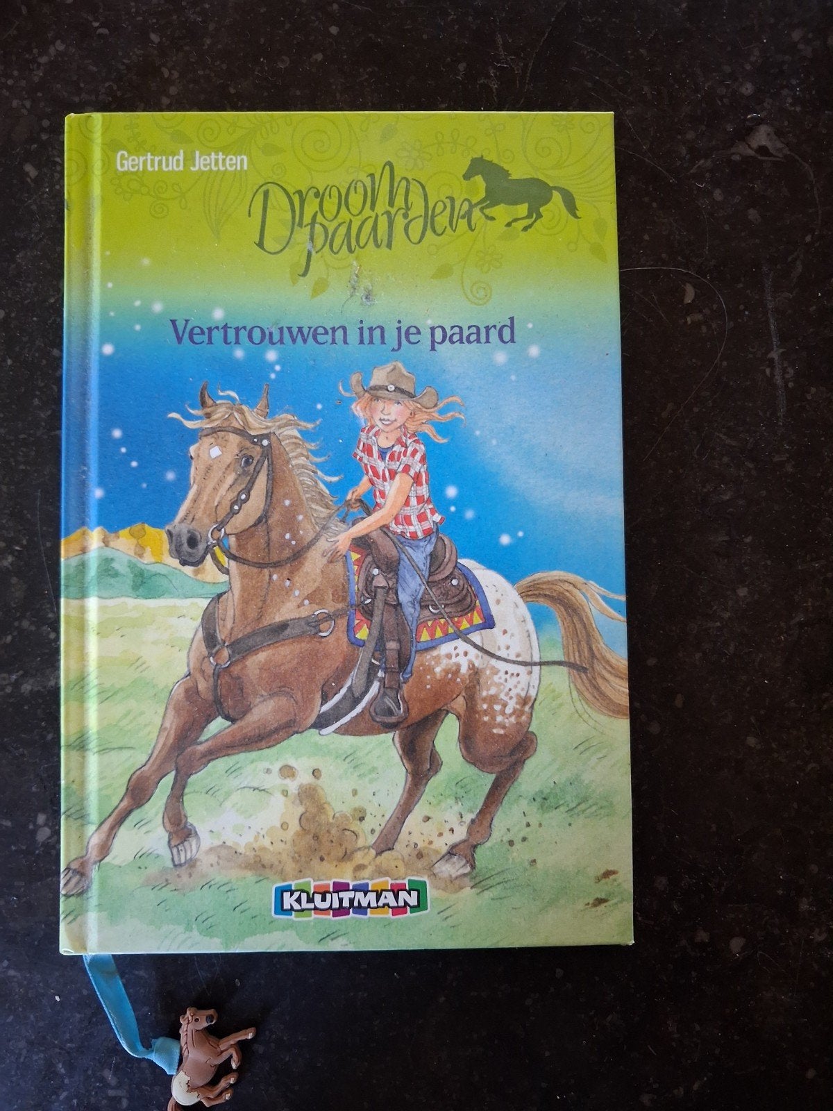 Droompaarden: Vertrouwen in je paard - Gertrud Jetten, Boeken, Ophalen of Verzenden, Zo goed als nieuw, Gertrud Jetten, Fictie algemeen