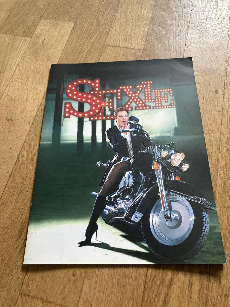 Eddie Izzard programmaboekje 2003-toer "Sexy", Verzamelen, Muziek, Artiesten en Beroemdheden, Ophalen, Nieuw, Boek, Tijdschrift of Artikel