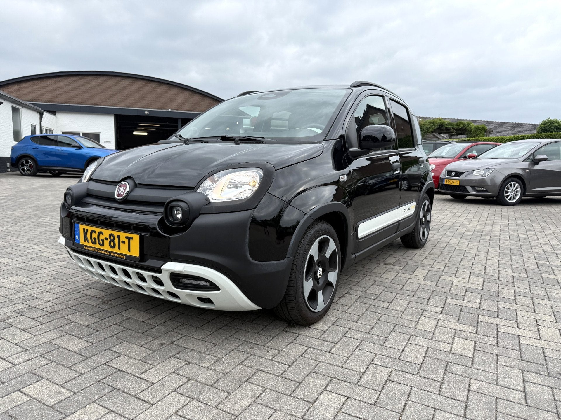 Fiat Panda Cross 1.0 Hybrid Pandina (bj 2025), Stof, Gebruikt, Zwart, Panda
