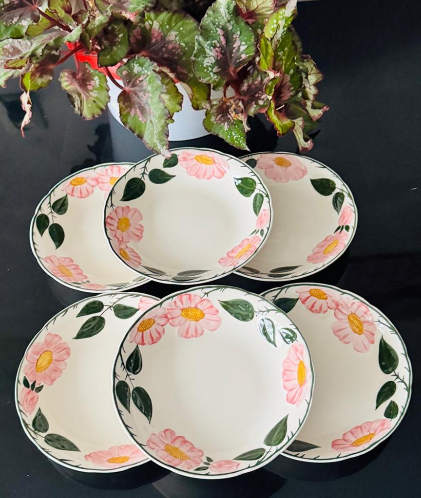 Villeroy & Boch Wild Rose borden 20 cm - 6 stuks, Ophalen of Verzenden, Zo goed als nieuw, Bord(en), Overige stijlen