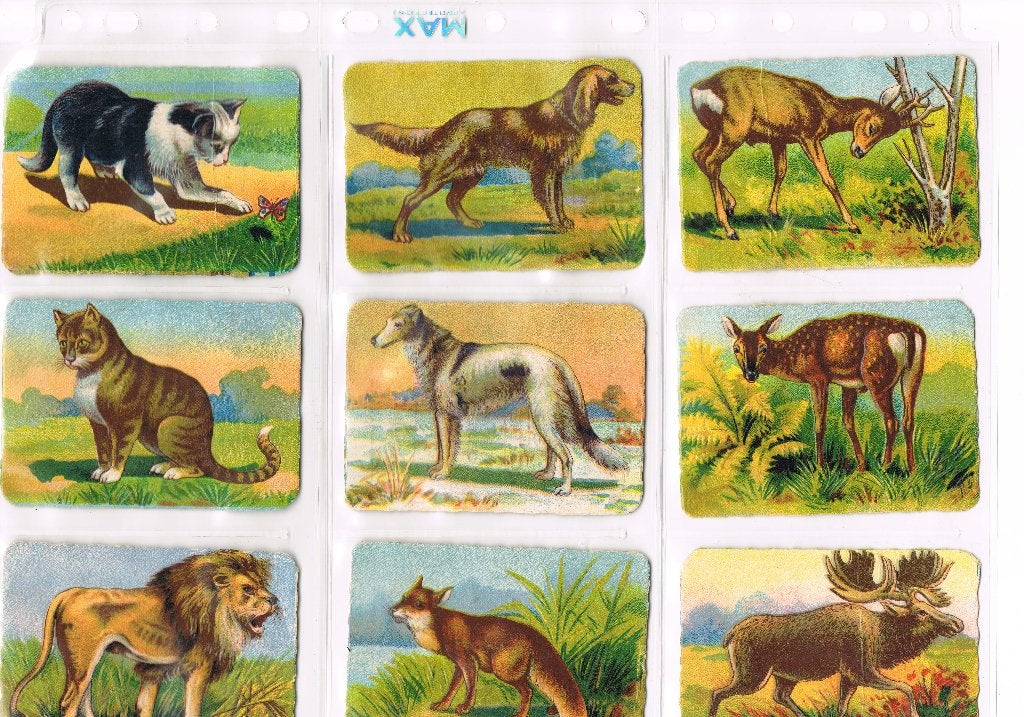 H.Smith's Koffie & Thee - 18 Dierenalbum plaatjes, Ophalen of Verzenden, Overige typen