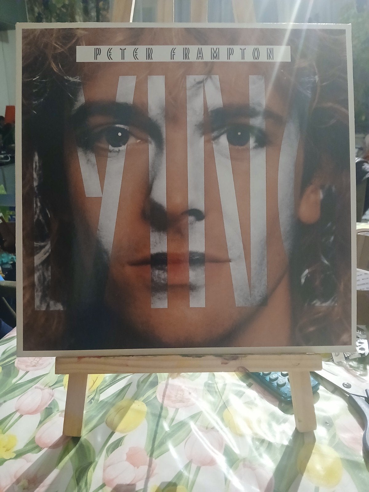 Peter Frampton - Vinyl LP - Vintage Rock Album, Cd's en Dvd's, LP, Gebruikt, Ophalen of Verzenden, Classic Rock