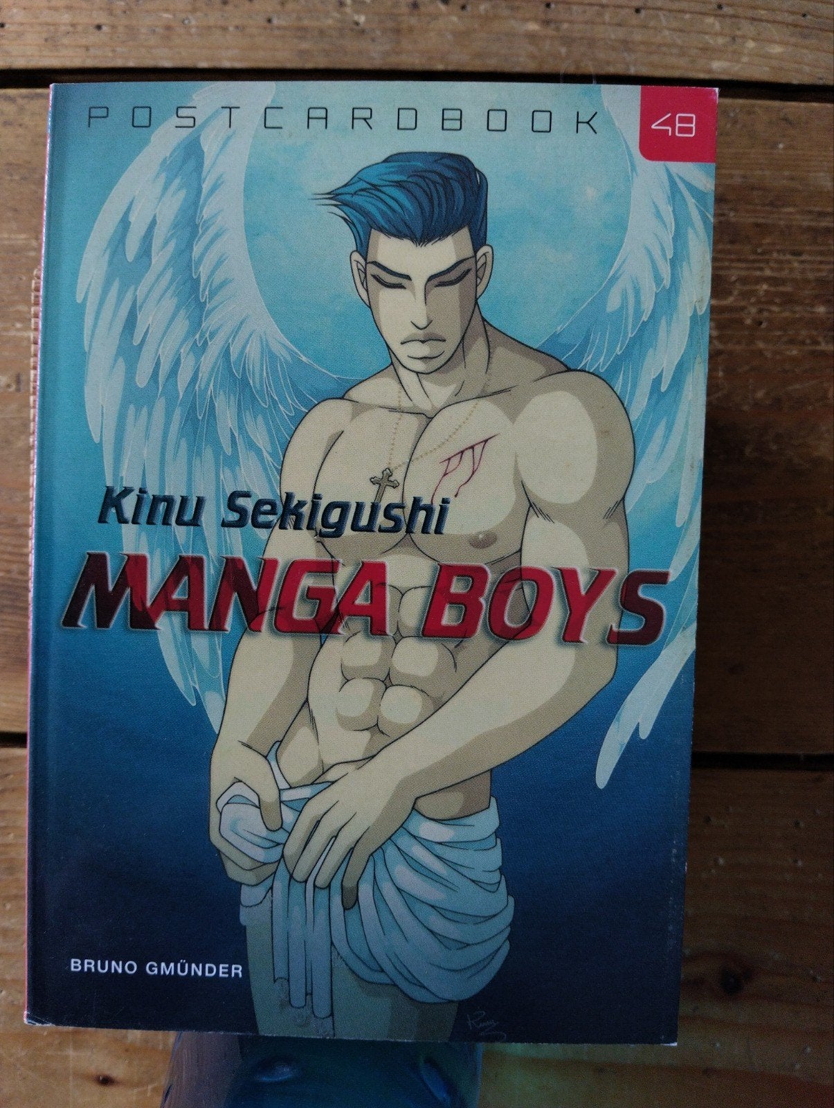 Gay. Manga Boys Postcardbook 48 - Kinu Sekigushi, Eén stripboek, Ophalen of Verzenden, Zo goed als nieuw, Kinu Sekigushi