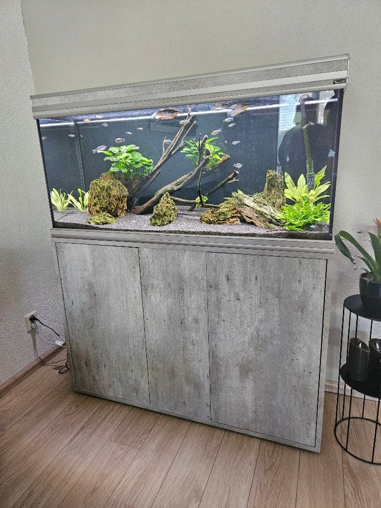 Aquarium 240l incl extern filter en CO2, Ophalen, Gebruikt, Aquatlantis, Gevuld zoetwateraquarium