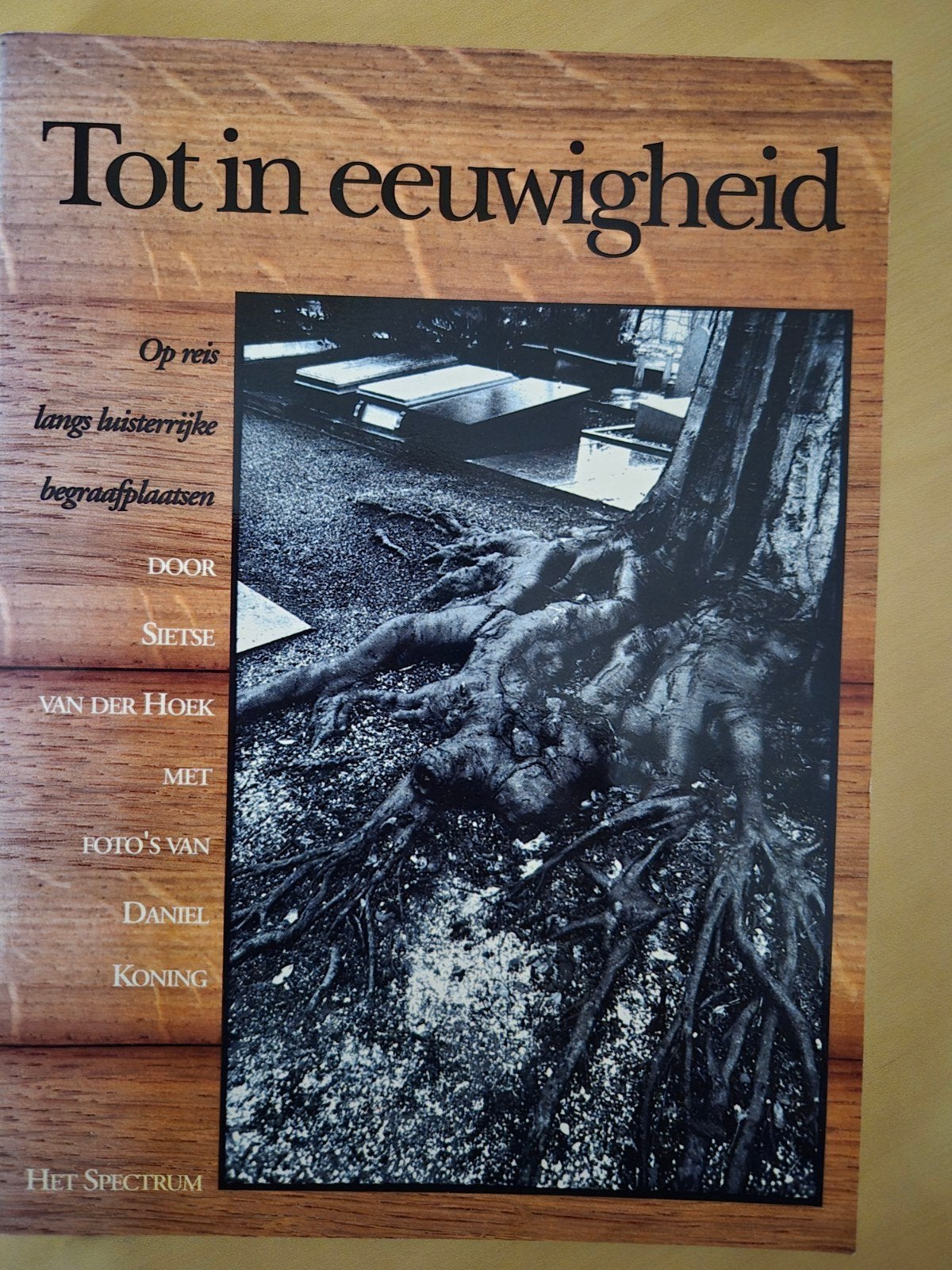 Tot in eeuwigheid  van Sietske van der Hoek, Boeken, Ophalen of Verzenden, Zo goed als nieuw, Sietse van der Hoek, Nederland