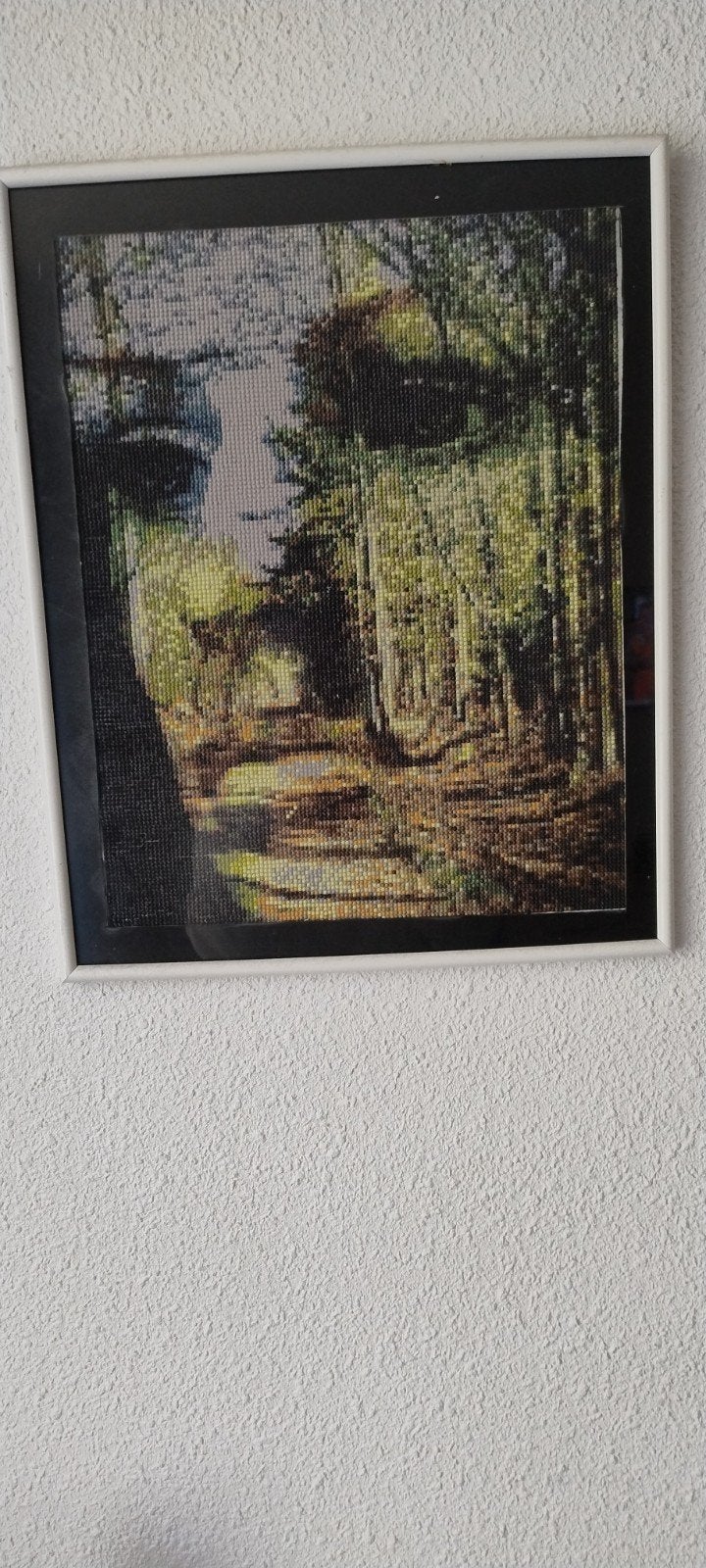 Diamond Painting: Vrouwengezicht in Bos, Ophalen, 50 – 75, Overige typen, Zo goed als nieuw
