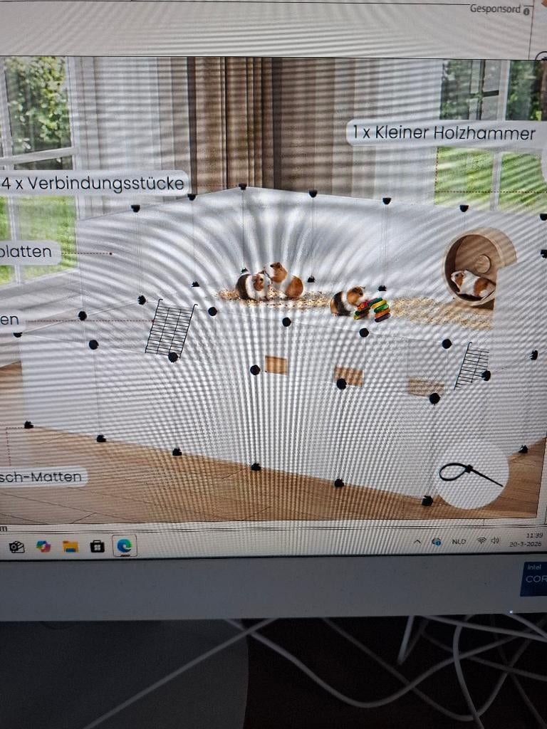 cavia konijnen hok, Ophalen, Hok, Cavia, Minder dan 60 cm