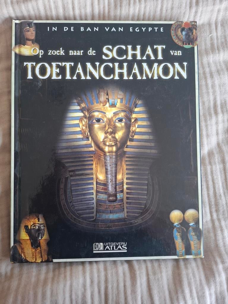 Boek: Op zoek naar de schat van Toetanchamon, Boeken, Ophalen of Verzenden, Zo goed als nieuw, Afrika